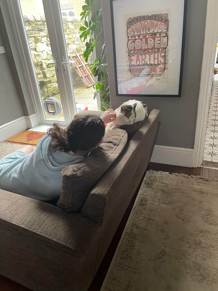 This Is A Local Stray That We’ve Named Helga (He’s A Boy, We Named Him Before We Noticed His Massive Boy Bits)