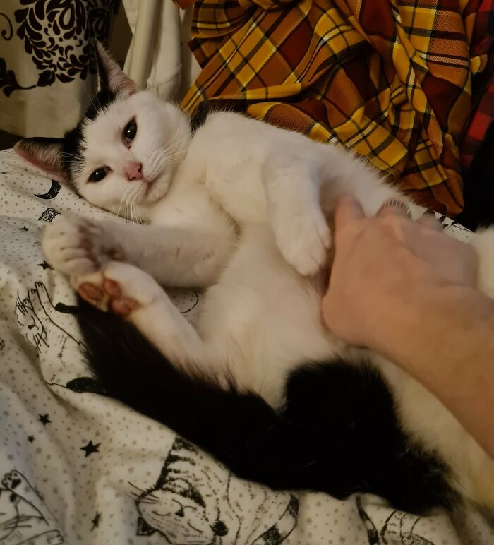 My Little Buddy Once Again Paid Me A Visit. It Was Well Needed