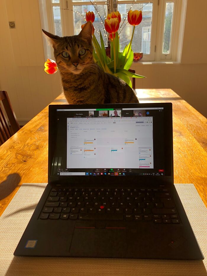 So We Moved In To A New Place In December