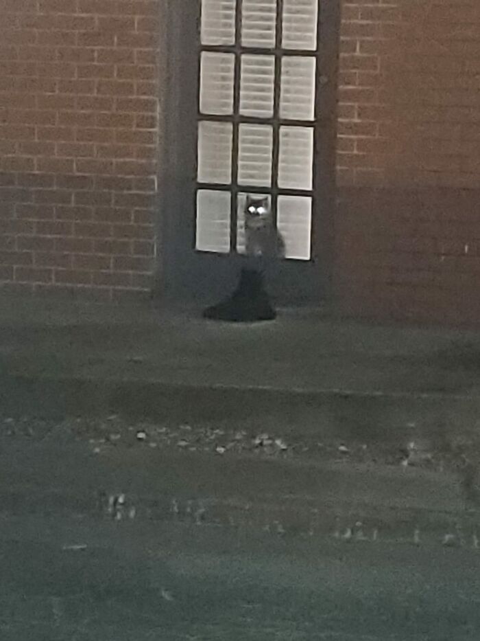 So It's My Birthday And I Came Home From Work To Find A Visitor. The One Inside Is Grogu And Was Once A Mhnmc When He Followed Me Into My Apartment