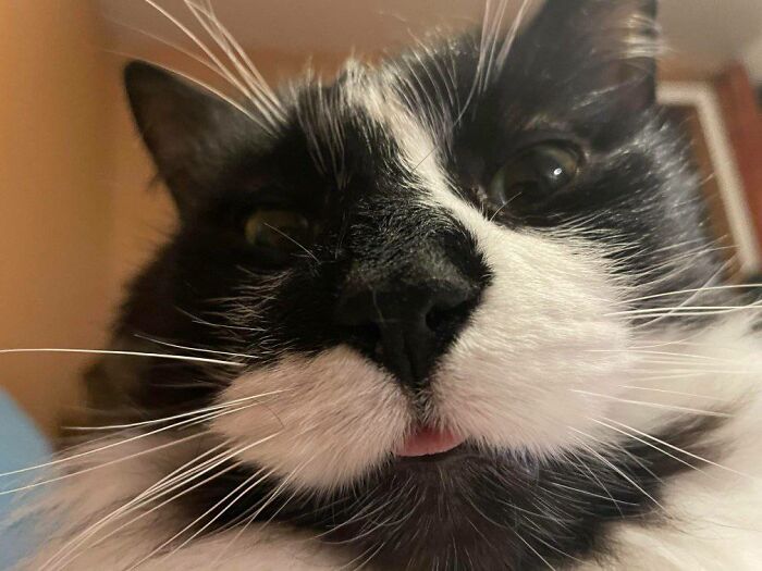 This Is Mhnmc Started Out In My Home, Where He Slept In My Crockpot And Despised Me And Plotted My Demise