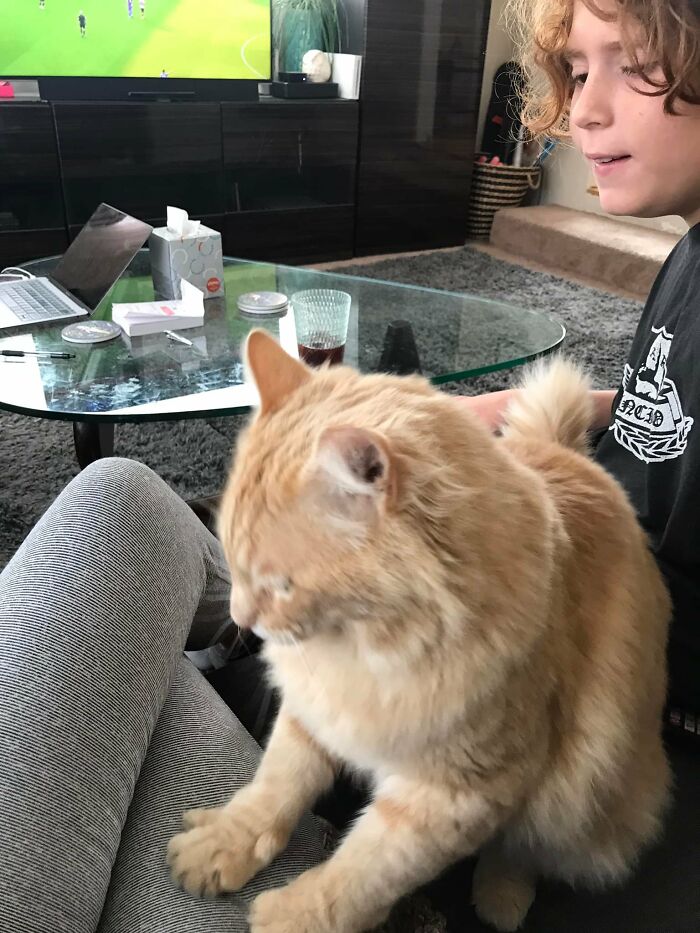 Not Our Cat…don’t You Dare Try To Tell Him It’s Not His House & That He Lives Across The Street Tho. He Sneaks In Through The Door Under Our Feet