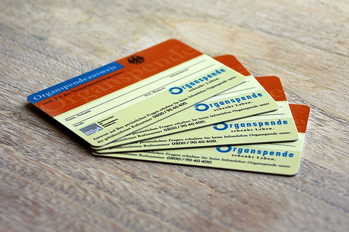 «Hoy aprendí»: 35 nuevos datos que demuestran que nunca es demasiado tarde para aprender algo nuevo