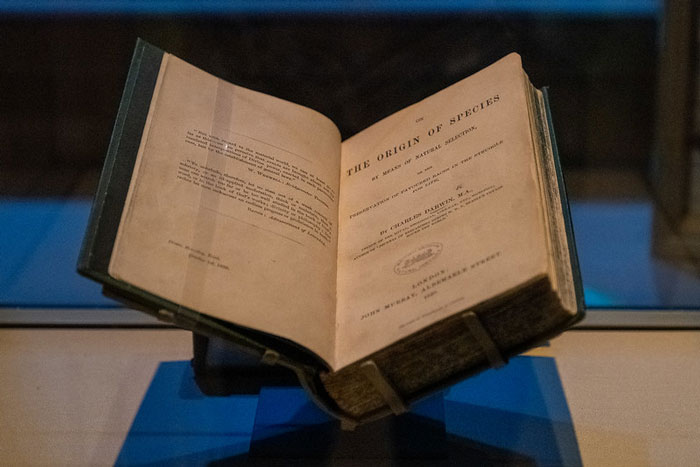 «Hoy aprendí»: 35 nuevos datos que demuestran que nunca es demasiado tarde para aprender algo nuevo