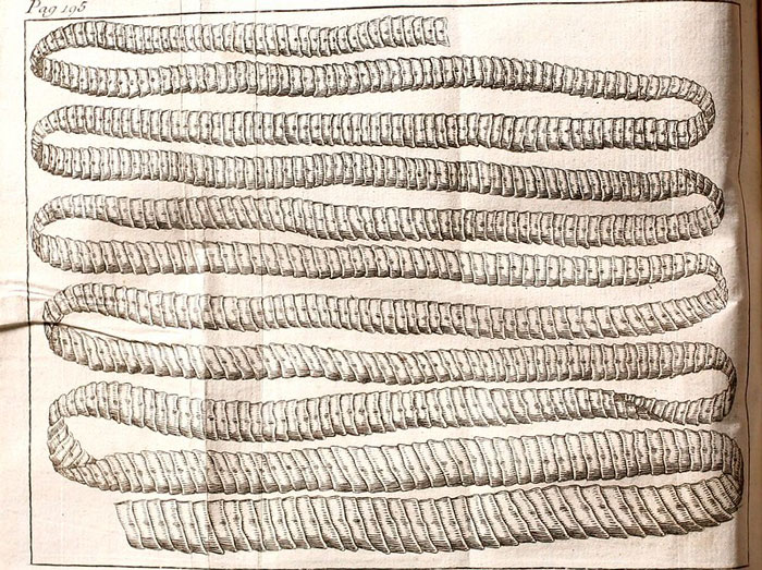 «Hoy aprendí»: 35 nuevos datos que demuestran que nunca es demasiado tarde para aprender algo nuevo