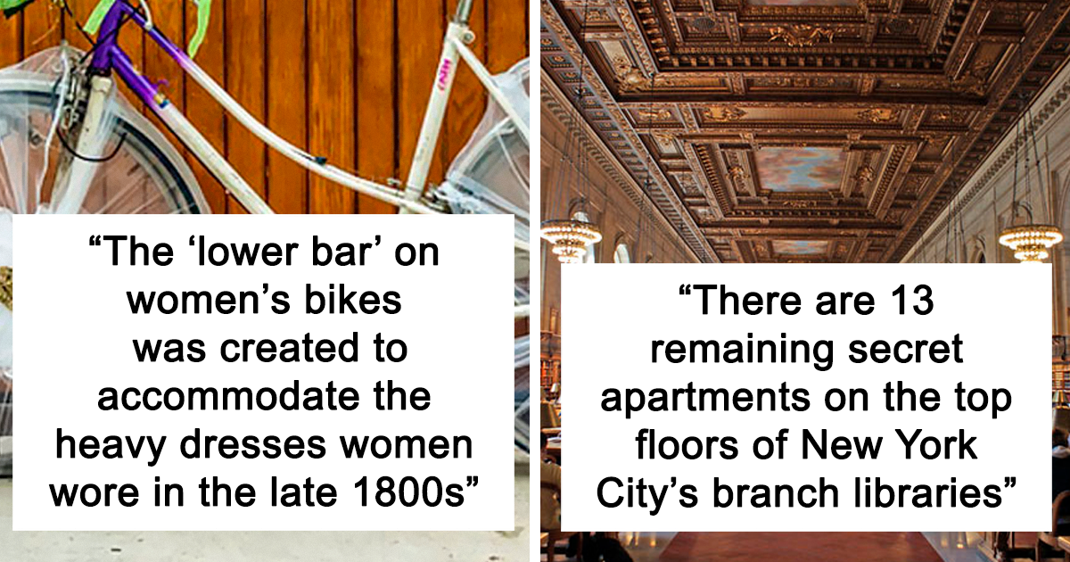 50 New Facts People Shared After Learning Something New