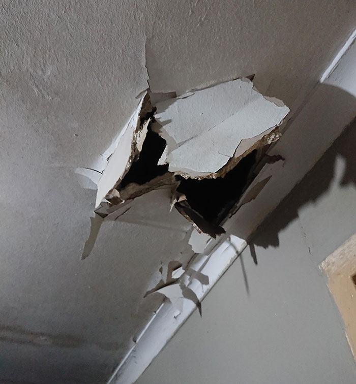 "Stop Complaining About Your Neighbors": Guy Maliciously Complies To Landlord's Request, Waits Until Neighbor Falls Through The Ceiling