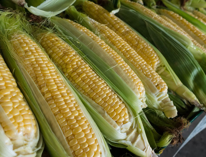 "This Person Is Out Of Touch With Reality": 40 Delusional People Who Proved They Don’t Understand A Thing In This World