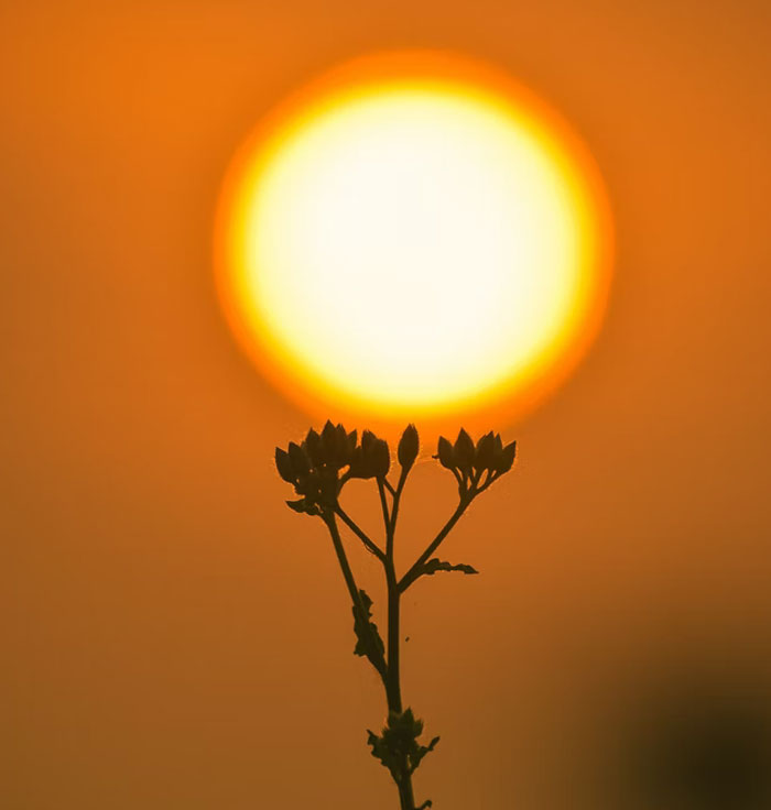 25 Personas delirantes que viven en su propio mundo