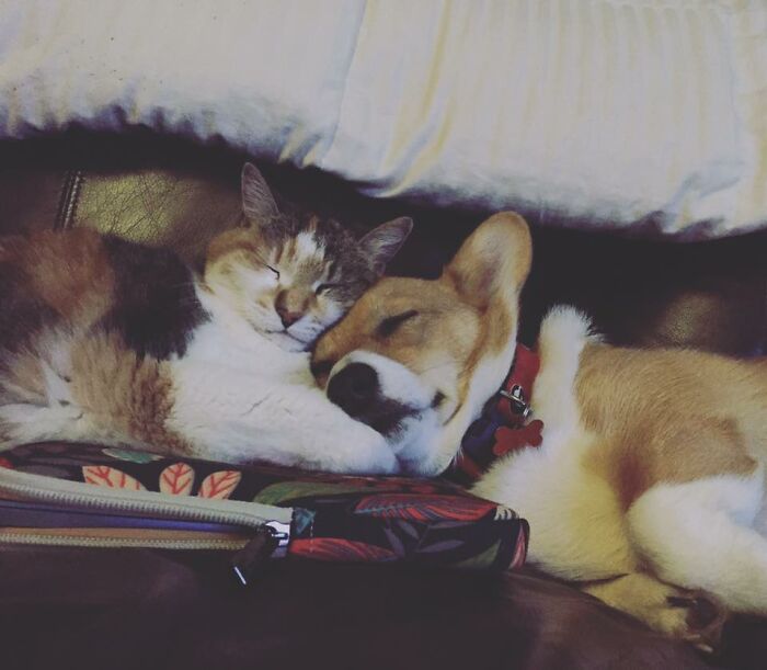 The Best Of Friends, Maggie And Penny.