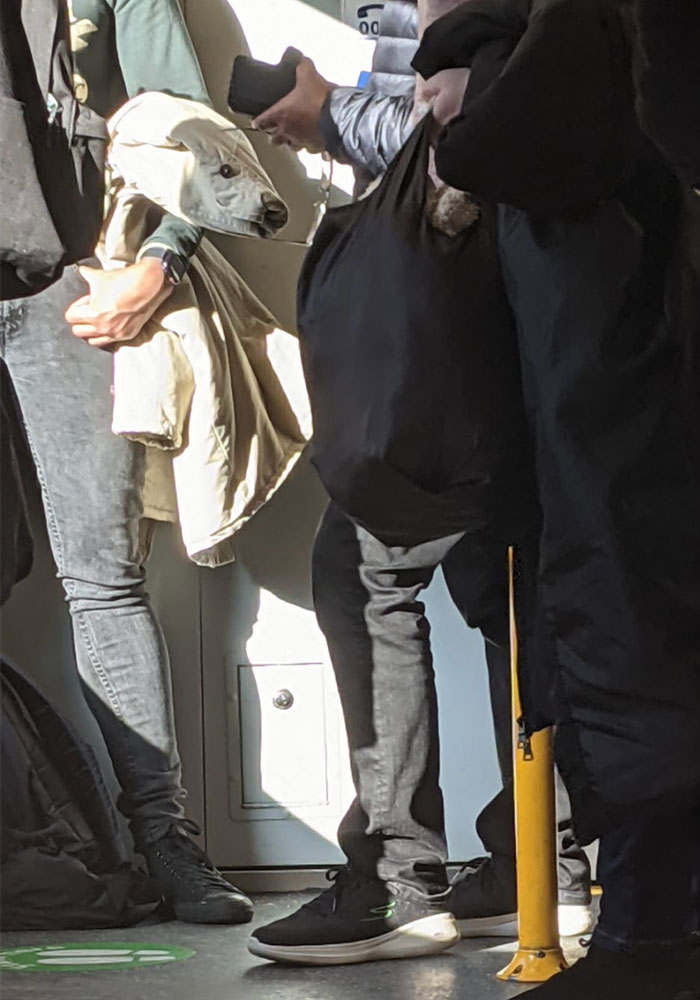 Took This Photo While On A Train. Check Out The White Jacket - Bears A Resemblance