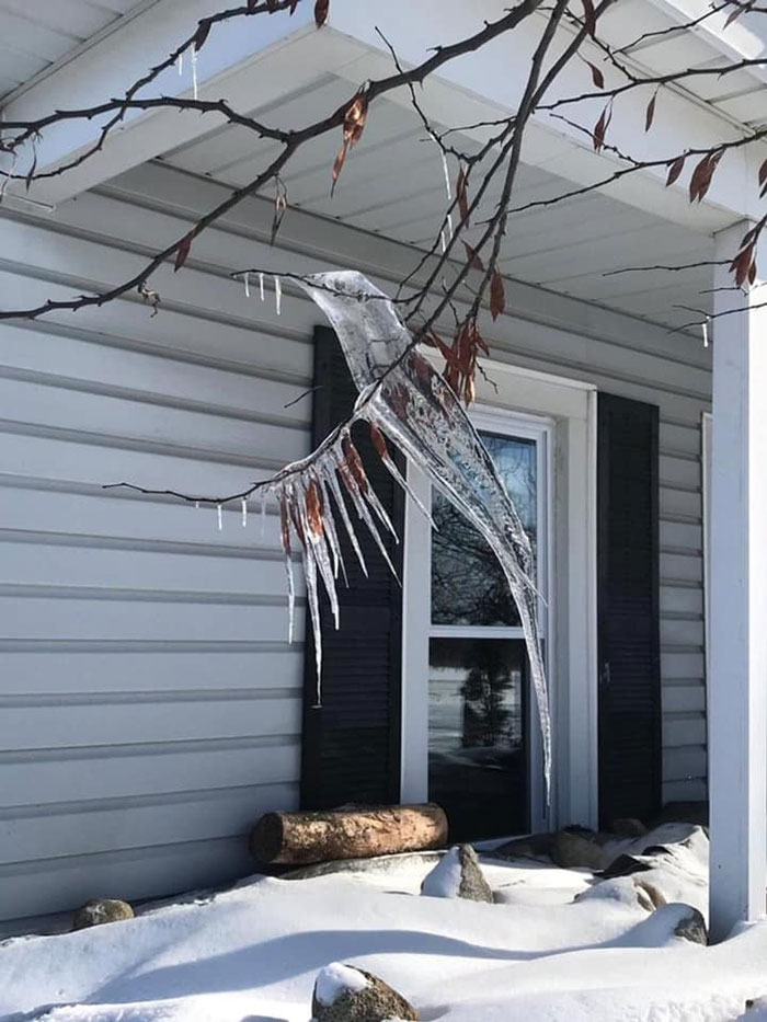 Icicle Shaped Like A Hummingbird