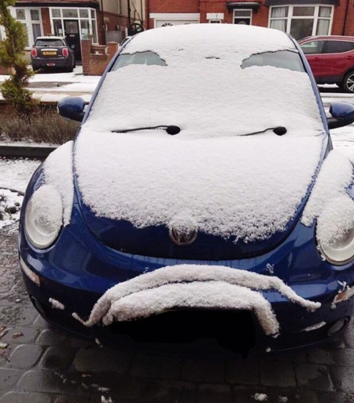 My Face When I See The First Snow