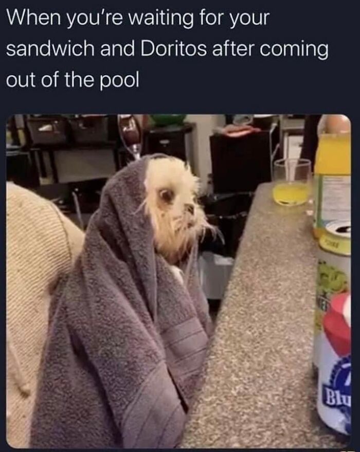 Parental-Humor-Memes