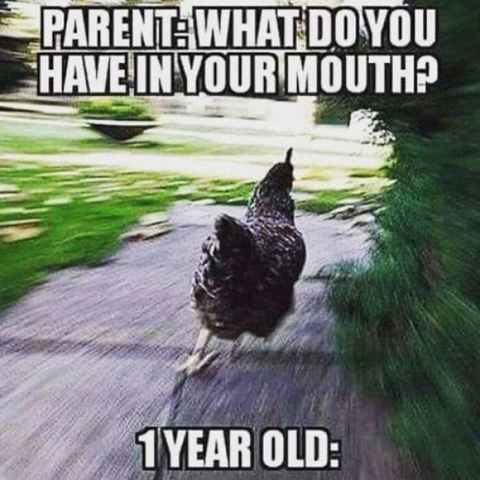 Parental-Humor-Memes