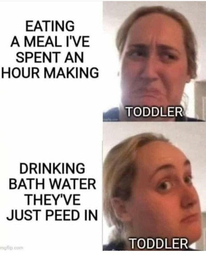 Parental-Humor-Memes