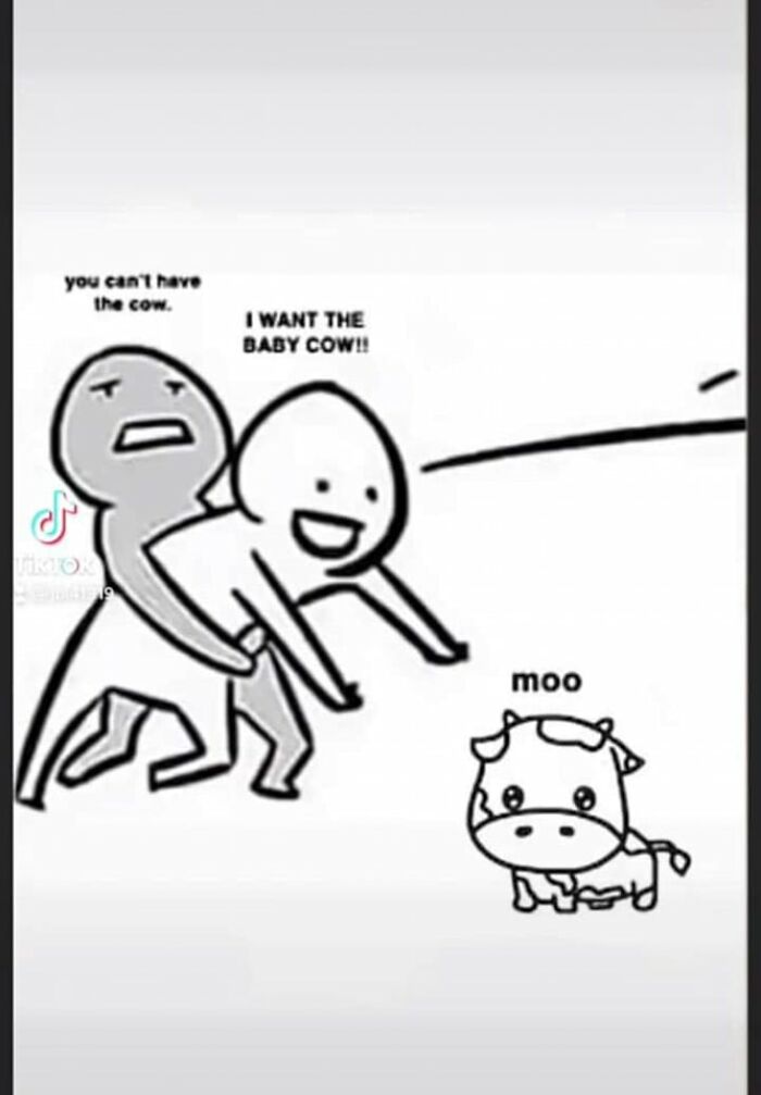 Parental-Humor-Memes