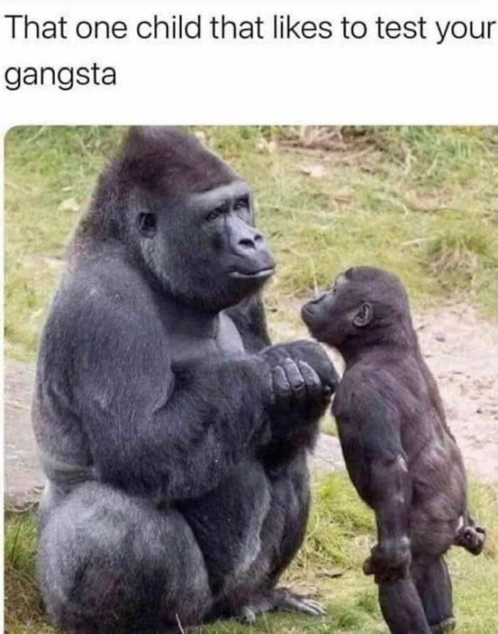 Parental-Humor-Memes