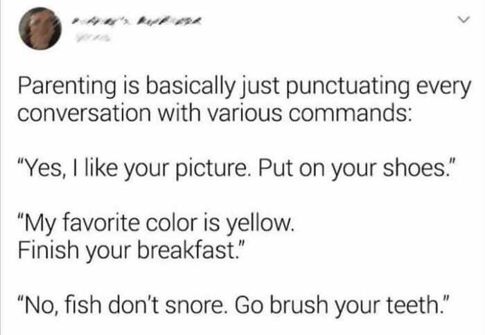 Parental-Humor-Memes