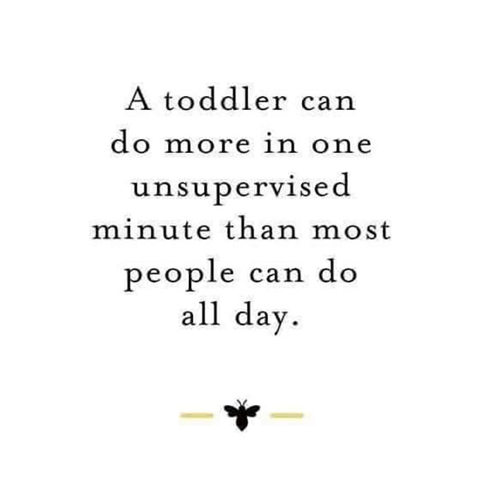 Parental-Humor-Memes