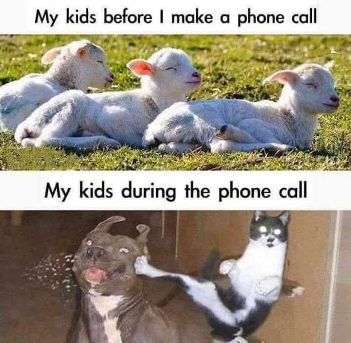 Parental-Humor-Memes