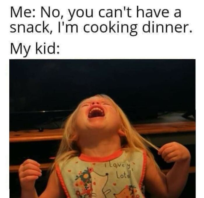 Parental-Humor-Memes