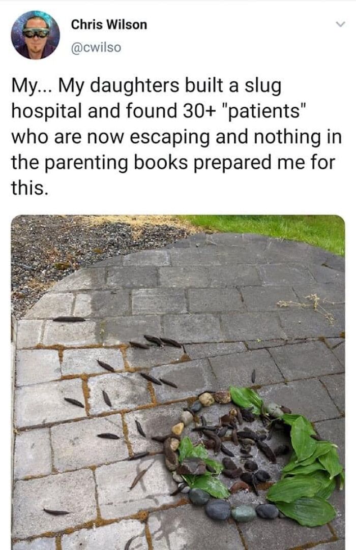 Parental-Humor-Memes