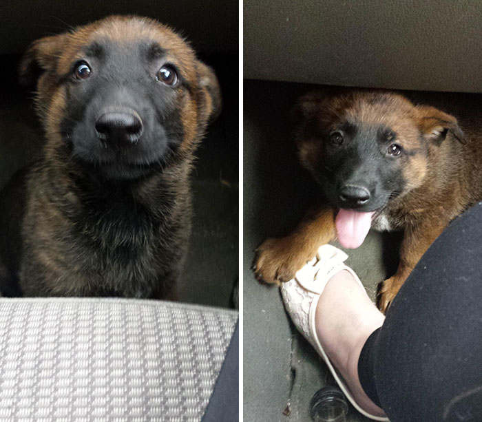 My Husband And I Just Celebrated Our 20th Anniversary. He Wanted To Get Me Traditional Platinum Or China. Platinum Was Too Expensive, So Meet - China