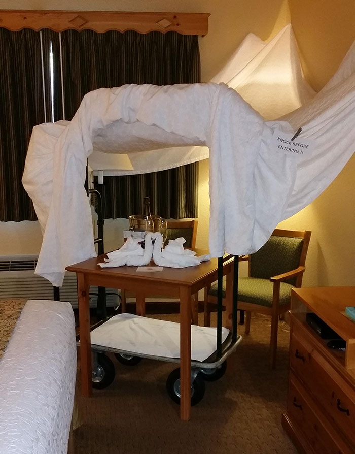 Requested Build Us A Blanket Fort. When My Husband And I Went On Our Anniversary Trip. We Were Not Disappointed