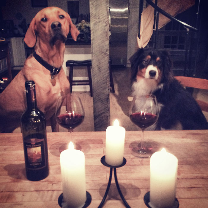 My Boyfriend And I Met At The Dog Park, So It Was Really Their 2-Year Anniversary Last Weekend