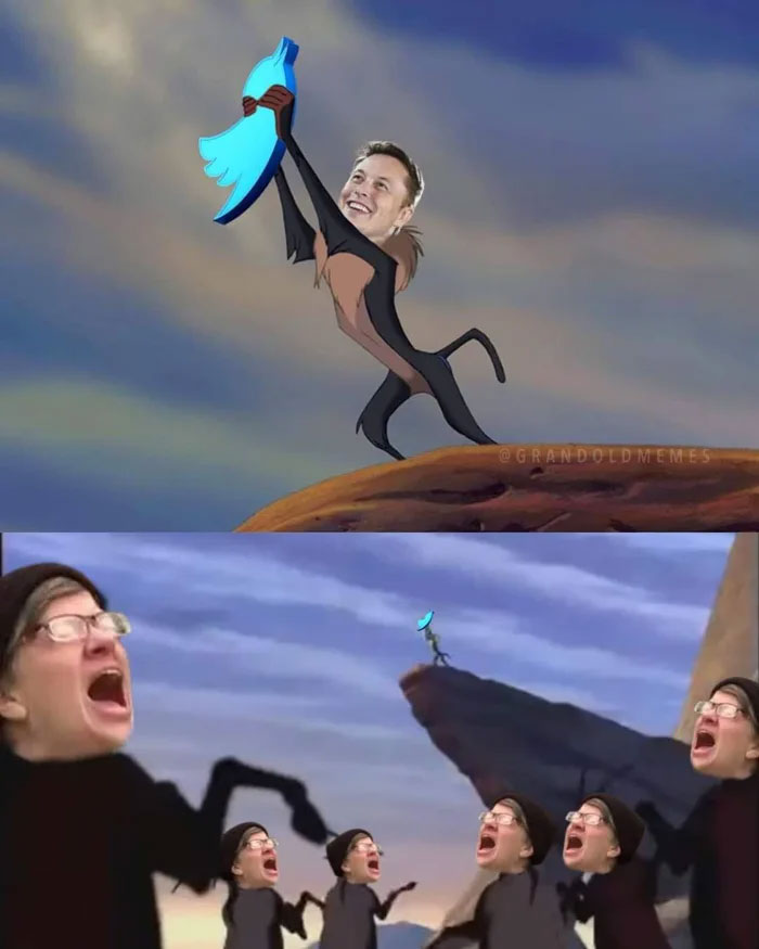 People-React-Elon-Musk-Buying-Twitter