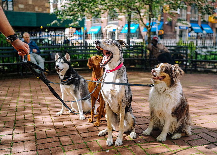 "¿Qué es elegante si eres rico, pero vulgar si eres pobre?": 30 respuestas que realmente ponen las cosas en perspectiva