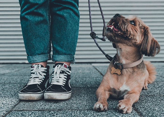 "¿Cuáles son las reglas no escritas de la vida?": 30 respuestas