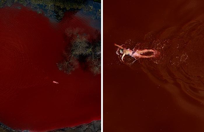 “Swimming Through”: We Dyed The Pond In Front Of The Russian Embassy In Lithuania So That It Looks Like Blood