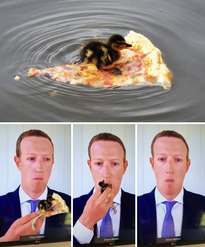 Chick On A Slice Of Pizza