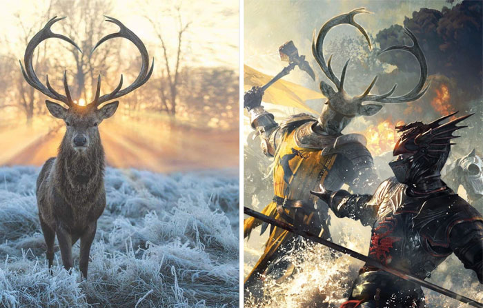 Stag In The Morning Frost