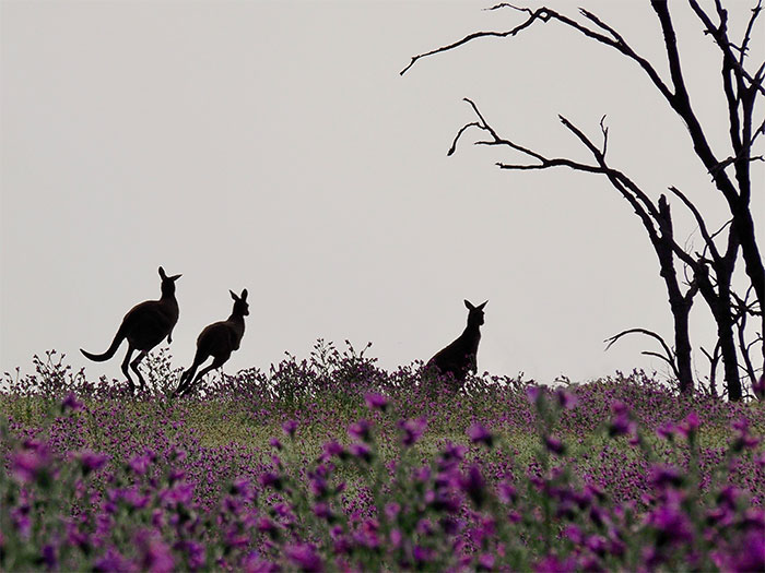 I’m Discovering My Gift Of Photography Just As Cancer Is Taking Away My Eyesight, And Here Are 14 Of My Best Nature Photos