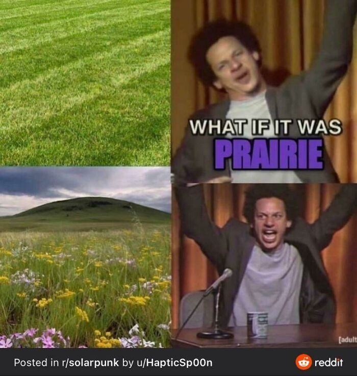 Positive-Imagining-Of-Future-Solarpunk