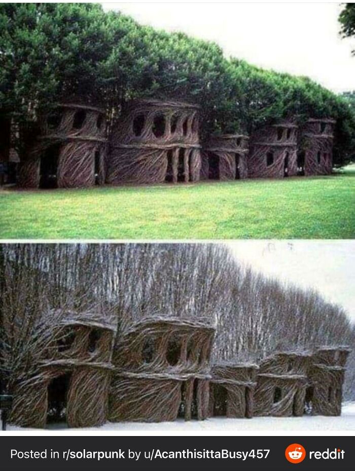 Positive-Imagining-Of-Future-Solarpunk