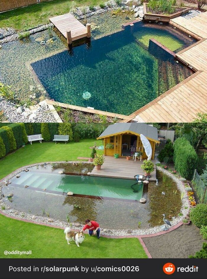 Positive-Imagining-Of-Future-Solarpunk