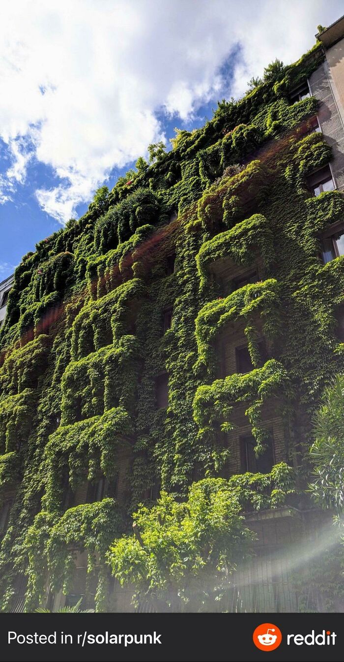 Positive-Imagining-Of-Future-Solarpunk