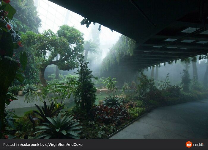 Positive-Imagining-Of-Future-Solarpunk