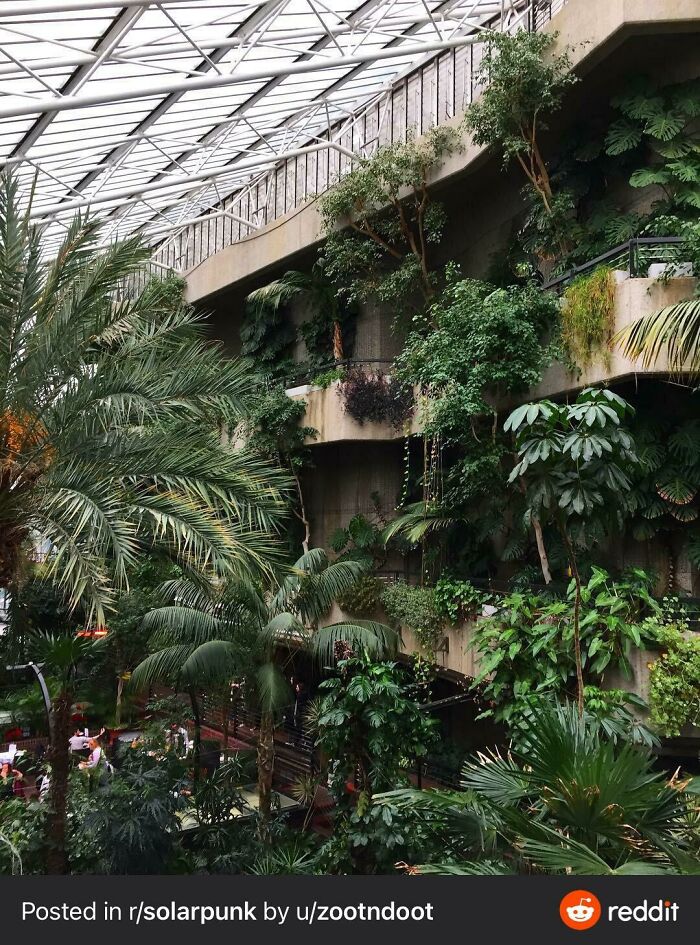 Positive-Imagining-Of-Future-Solarpunk