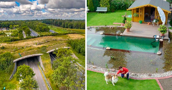 The “Solarpunk” Online Group Shares 30 Environmental Memes That People Who Are Sick Of Capitalism Destroying The Planet Can Relate To