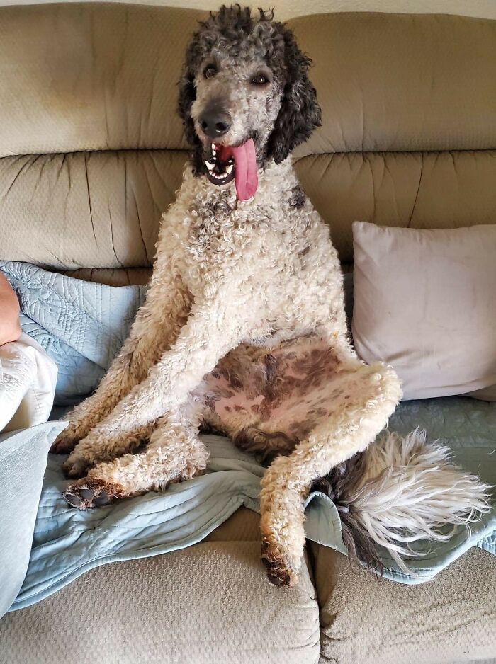 This Is My Normal Post Hike Couch Posture. It's Very Freeing.