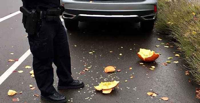 35 Petty Things People Actually Did To Take Revenge On Someone Who Wronged Them