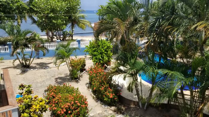 Midday In Roatan, From Our Balcony