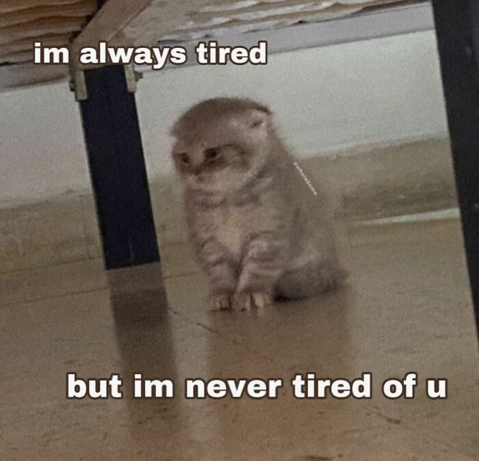 35 Things People Embody So Deeply That Their Entire Personality Revolves Around It, As Shared In This Online Group