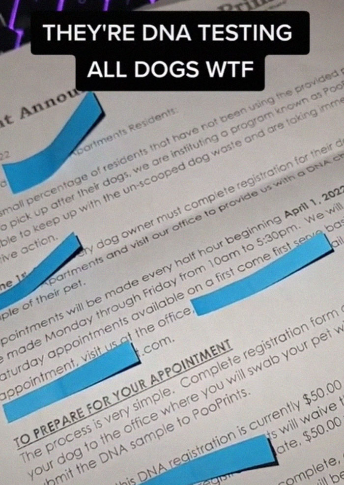 "You Gotta Hear This": Landlords Demand Tenants Bring Their Dogs For DNA Testing To Find Out Who Doesn't Pick Up The Poop