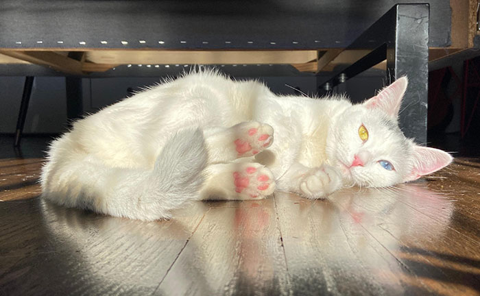 Geordi Loves Showing Off Those Pink Toe Beans